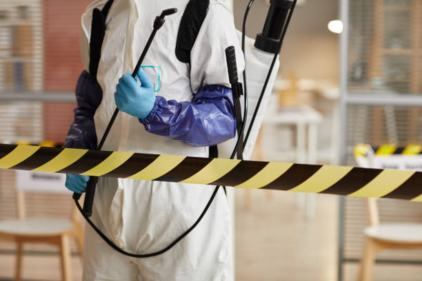 Professional Hoarding Cleanup technician working in Fenwick, MI